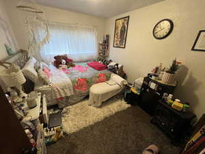 Bedroom with a textured wall, a textured ceiling, and carpet flooring