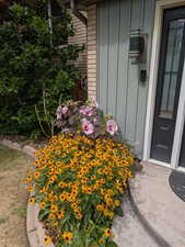 Entrance to property with board and batten siding