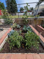 View of yard featuring a garden