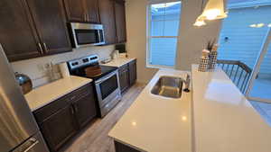 Kitchen featuring dark wood finish cabinetry, stainless steel appliances, light wood-style flooring, and decorative light fixtures