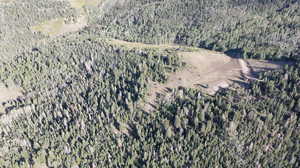 Aerial view of a heavily wooded area