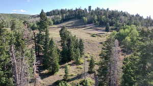 Bird's eye view of a heavily wooded area