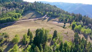 Drone / aerial view of a mountainous background and a forest