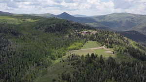 View of mountain background featuring a heavily wooded area