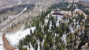 Snowy aerial view with a mountain view and a view of trees