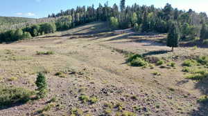 View of local wilderness with rural landscape