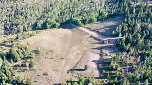 Aerial view of property and surrounding area featuring a heavily wooded area