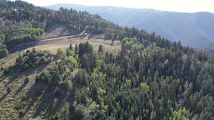 View of mountain backdrop with a heavily wooded area
