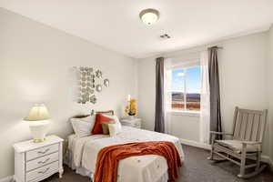 Bedroom with dark carpet