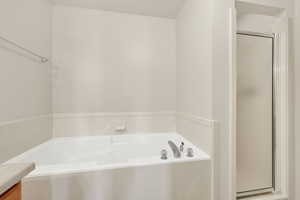 Full bathroom featuring a shower stall, a bath, and vanity