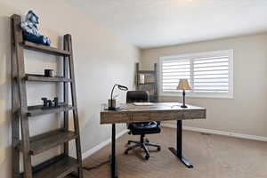 Office space featuring light carpet and a textured ceiling