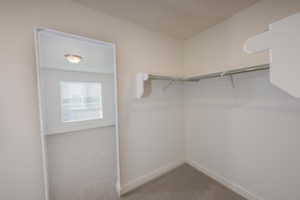 Walk in closet with light carpet