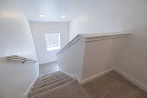 Stairs with carpet floors and baseboards