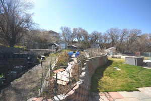 View of yard featuring a residential view