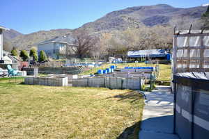 View of yard featuring a mountain view and a patio