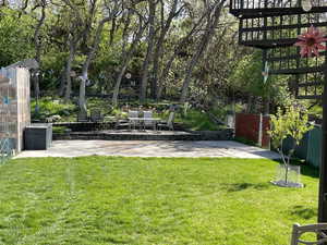 View of yard with a patio area, view of wooded area, and outdoor dining space