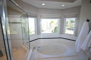 Primary Full bath with a tub with jets, a stall shower, and recessed lighting