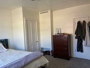 Carpeted bedroom with a textured ceiling
