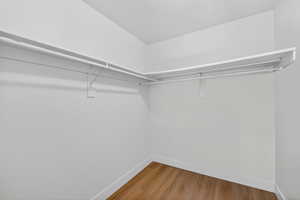 Walk in closet with light wood-style flooring