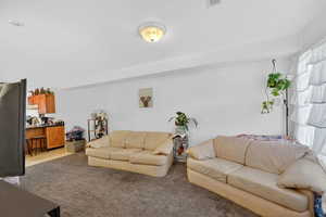 Living area with carpet floors