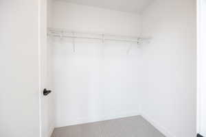 Walk in closet featuring carpet floors