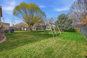 Fenced backyard with a trampoline and a playground