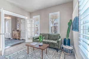Carpeted living area featuring plenty of natural light
