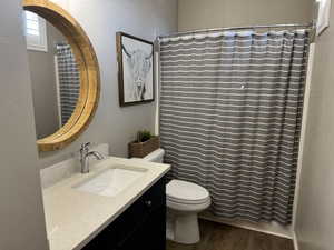 Bathroom with vanity, dark wood-style flooring, and curtained shower