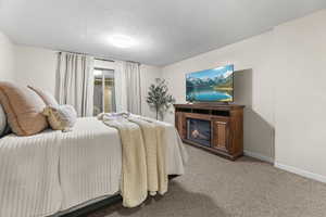 Carpeted bedroom with a textured ceiling and a glass covered fireplace