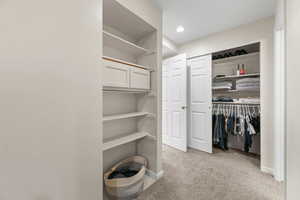 Walk in closet with light carpet