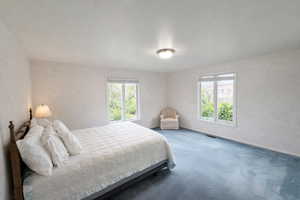 Carpeted bedroom with multiple windows