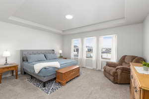 Bedroom featuring a tray ceiling and light colored carpet