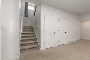 Staircase featuring carpet flooring