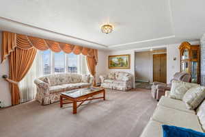Carpeted living room with a textured ceiling and a baseboard radiator