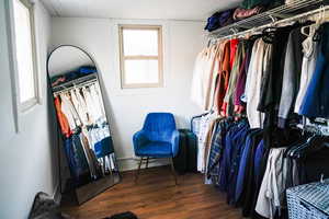 Primary walk in closet featuring dark wood-style floors