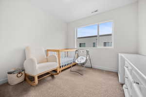 Bedroom with plush carpet, large window, and closet with built in shelving and cubbies.