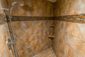 Bathroom view of a tile shower