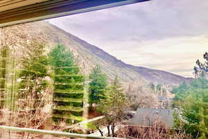Mountain view from living room