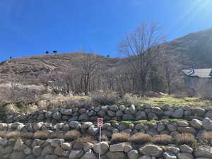 View of mountain from front entrance