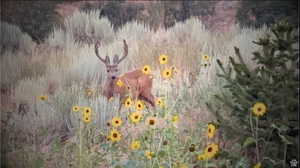 Exterior view of a forest