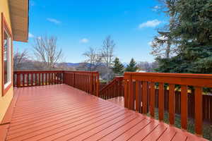 Look at the VIEW off of this wooden deck off the kitchen!