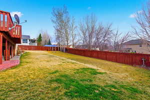 Expansive Back Yard