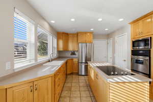 Kitchen with stainless steel appliances and abundant natural light