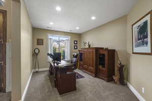 Office space featuring light colored carpet, a textured ceiling, and recessed lighting