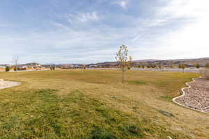 View of grassy yard