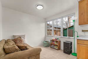 Living area with light carpet