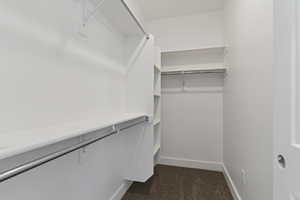 Walk in closet featuring dark colored carpet