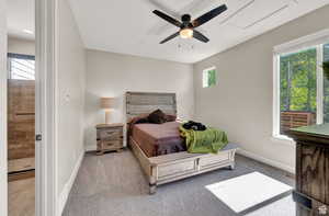 Bedroom featuring carpet floors, multiple windows, and ceiling fan