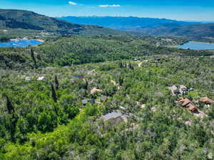 Drone / aerial view of a forest and a water and mountain view