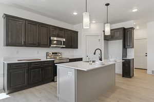 Kitchen with stainless steel appliances, dark wood finish cabinets, light wood finished floors, and an island with sink